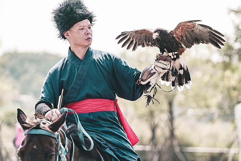 正夯的戶外運動,伴猛禽飛翔於山林-馴鷹協會會長陳建宏